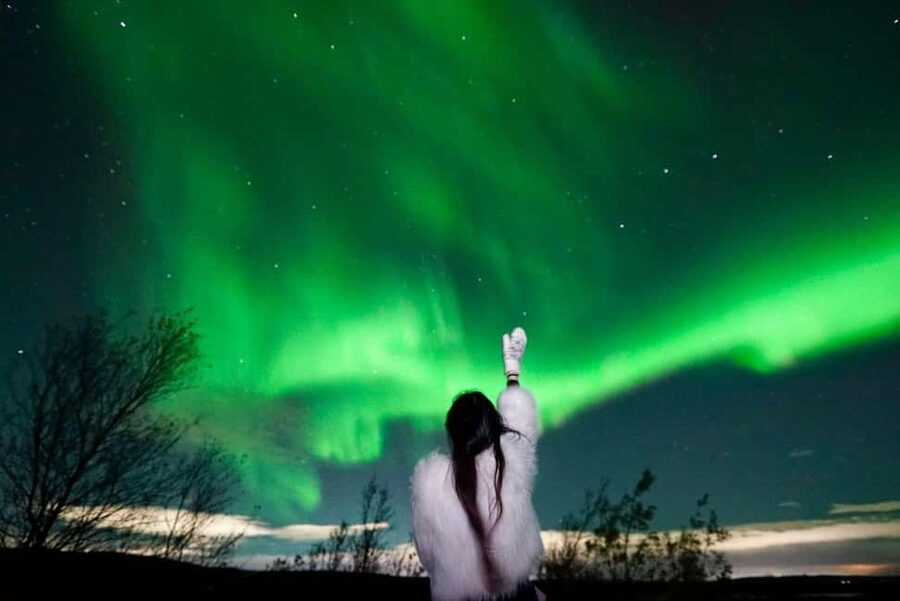 Rovaniemi Aurora Fire & Flavour — Arctic Gastronomy Tour - The forest walk: stories, silence, and why the timing matters