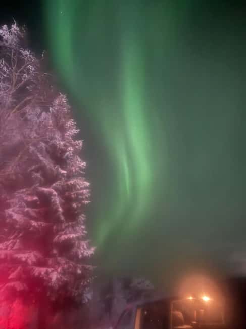 Rovaniemi Aurora Fire & Flavour — Arctic Gastronomy Tour - Aurora watching with professional photos: what you’re really paying for