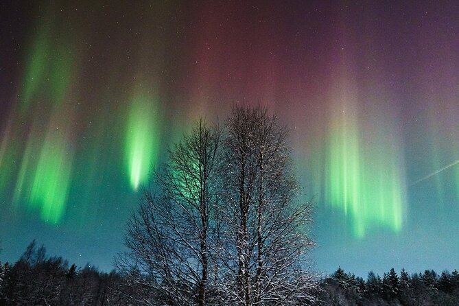 Rovaniemi: Aurora Hunt with Photograph & money back guarantee - Key highlights worth knowing before you go