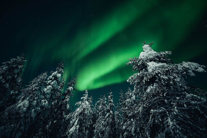 Rovaniemi: Aurora Hunt with Photograph & money back guarantee - What the Night Feels Like: Cold Stops, Patient Waiting, and Comfort
