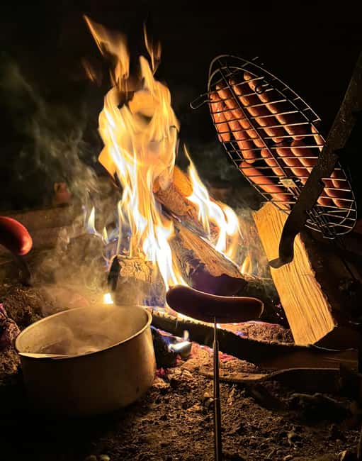 Rovaniemi: Aurora hunting and a fireside BBQ experience - Why this Rovaniemi aurora-and-BBQ style works