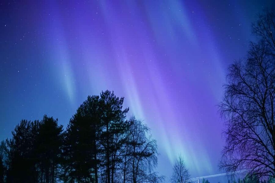 Rovaniemi: Aurora hunting and a fireside BBQ experience - What to bring (and what to do so the cold doesn’t steal your night)