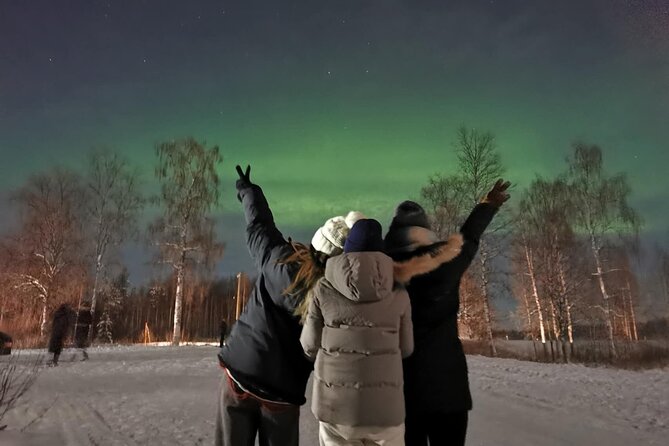 Rovaniemi: Aurora Hunting & Photography Tour - Comfort in the Lapland cold: clothing, tea, and a warm van
