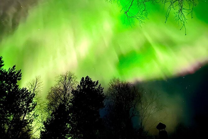 Rovaniemi: Aurora Hunting & Photography Tour - Group size and why it matters when the sky finally lights up
