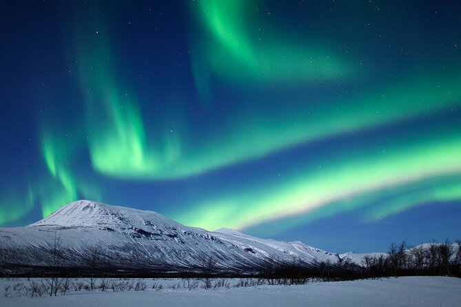 Rovaniemi Aurora Hunting Tour - Northern Lights in Rovaniemi: what the Aurora hunt is really like