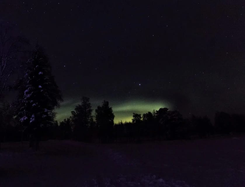 Rovaniemi: Aurora Hunting Tour in the Forest with Hot Drinks - Key Highlights You’ll Care About