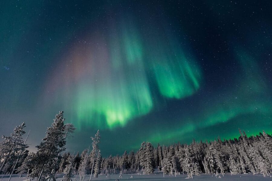 Rovaniemi: Aurora Hunting Tour in the Forest with Hot Drinks - Pickup, Meeting Point, and How to Avoid the First-Minute Stress