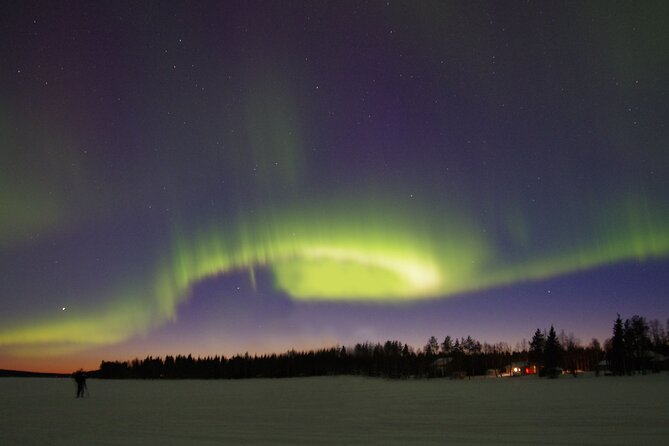 Rovaniemi Aurora Hunting Tour - Small-group vans and your guide’s role in the night