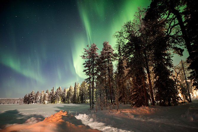 Rovaniemi AURORA PASS: 3-5 Days Unlimited Northern Lights chasing Pass - Key Highlights Worth Your Attention