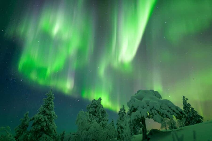 Rovaniemi: Auroras Northern Lights Trip - guaranteed lights - The Wilderness Lodge Break: Heated Toilets and an Arctic Nature Preview