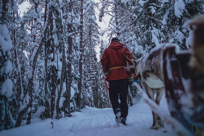Rovaniemi: Authentic Lapland Reindeer Farm Visit & Sled Ride - Meeting in Rovaniemi and how the 3-hour pace really feels