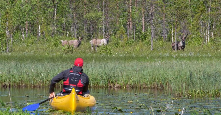 Rovaniemi: Authentic Reindeer Farm & Canoeing - Why Rovaniemi’s Reindeer Farm Meets Canoeing in One Smart 4 Hours