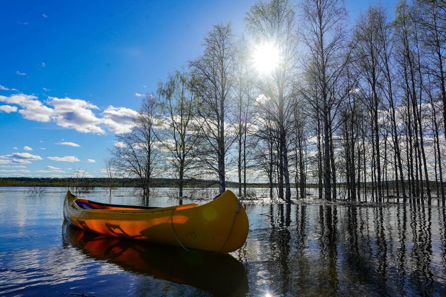 Rovaniemi: Authentic Reindeer Farm & Canoeing - Paddling the Peaceful Lake: Calm Water and Arctic Nature Time