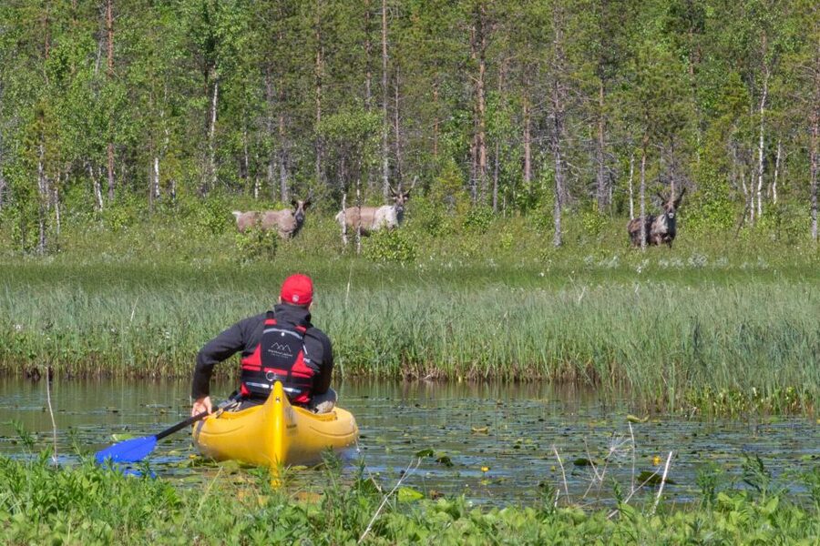 Rovaniemi: Authentic Reindeer Farm & Canoeing - Getting to the Farm: Pickup, Short Transfers, and Lake-Edge Quiet