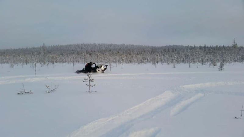 Rovaniemi: Backwoods Adventure Full Day Snowmobile Safari - Key Points Before You Go