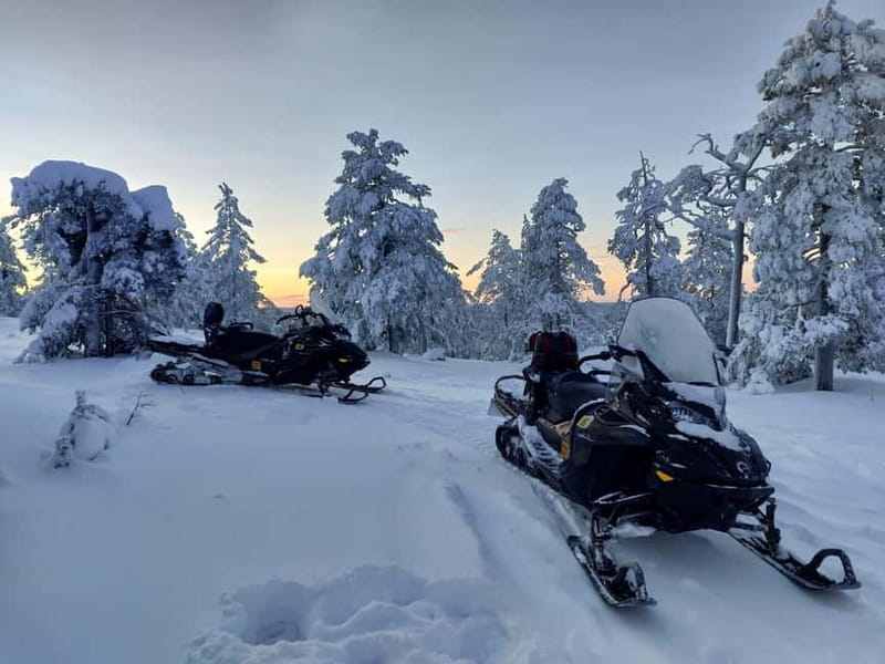 Rovaniemi: Backwoods Adventure Full Day Snowmobile Safari - About 6 Hours of Snowmobile Riding on Groomed Winter Tracks