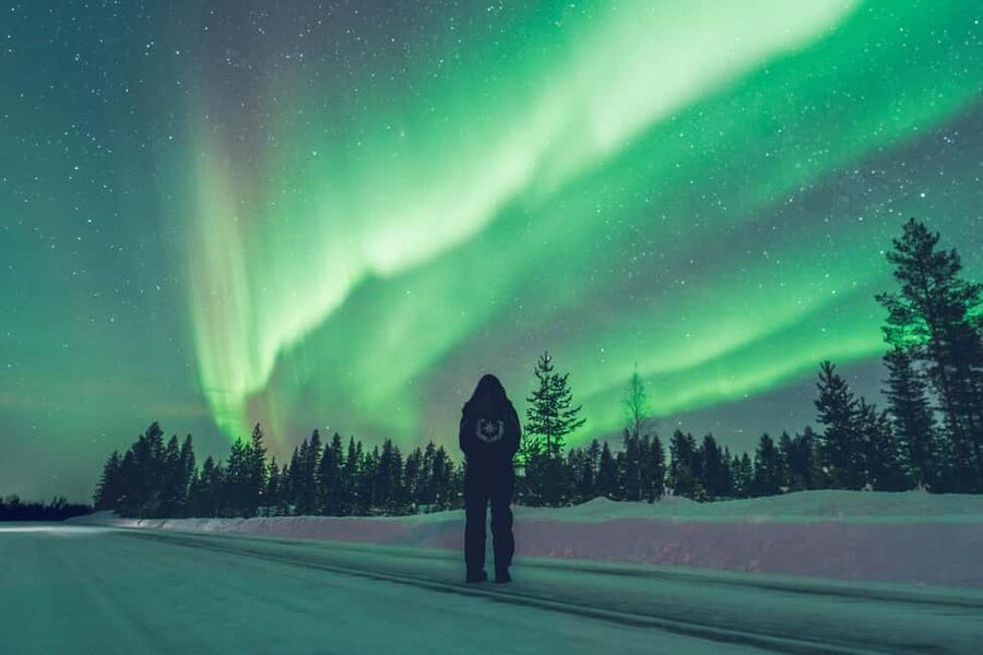 Rovaniemi: Best & Original Aurora Experience with Pro Photos - Stop Two and the Arctic Camp: Break Time, Photos, and BBQ