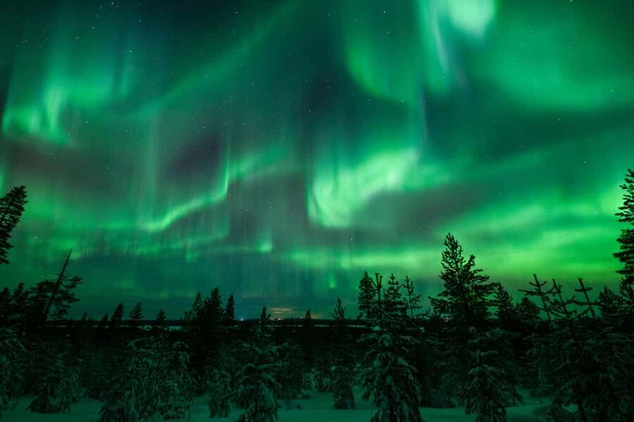 Rovaniemi: Best & Original Aurora Experience with Pro Photos - How the Photography Support Works (DSLR or Phone)
