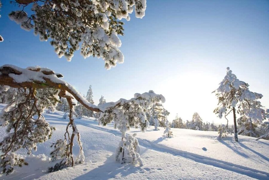 Rovaniemi: Cross-Country Skiing Adventure with Guide - Key things I’d notice first
