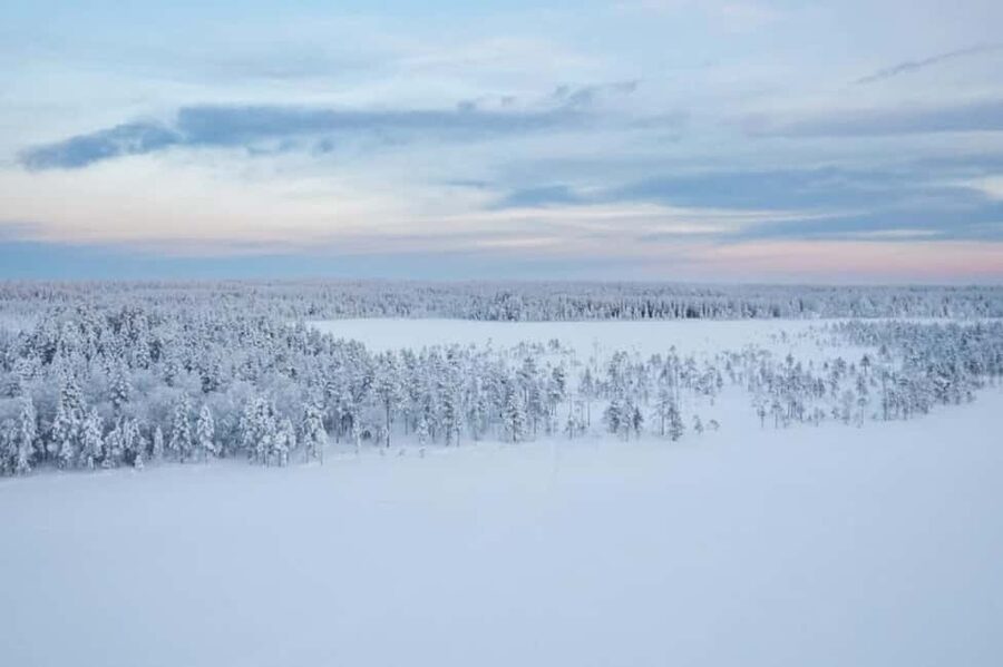 Rovaniemi: Cross-Country Skiing Adventure with Guide - A Quiet Ski Lesson, Not a Production Line