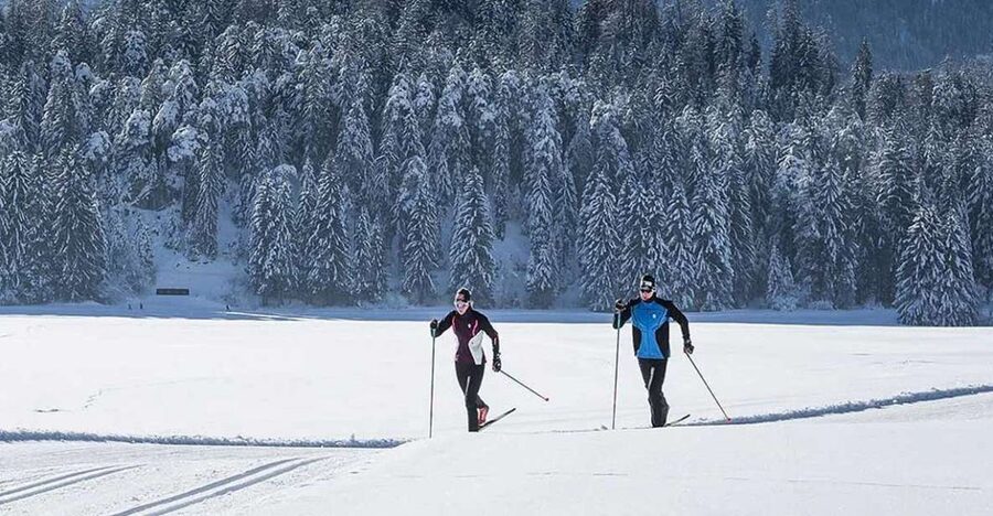 Rovaniemi: Cross Country Wilderness Ski Adventure - Key points worth knowing before you go
