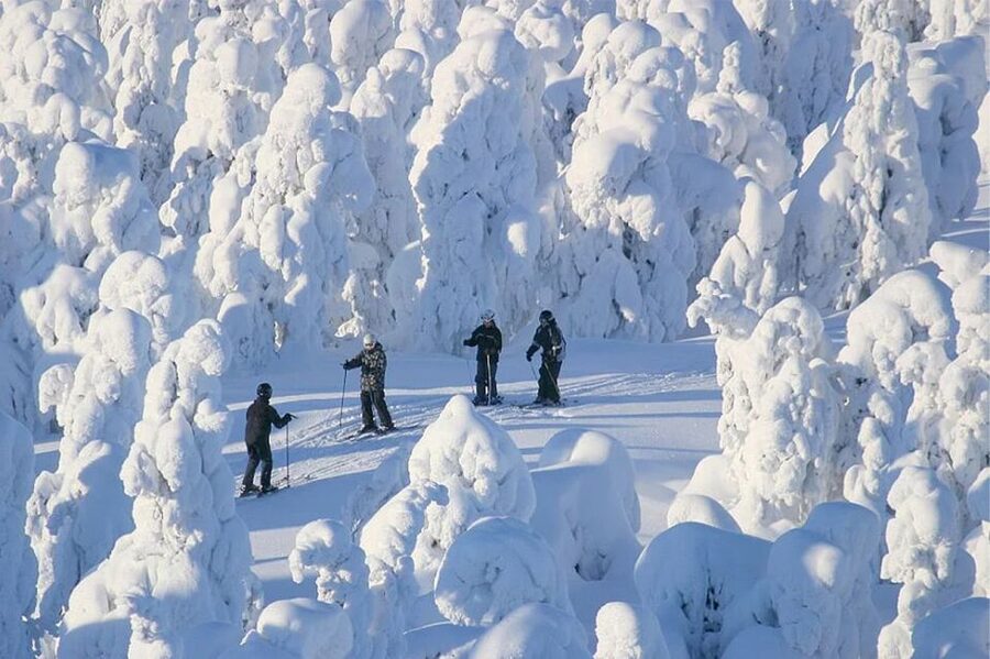 Rovaniemi: Cross Country Wilderness Ski Adventure - Ounasvaara forest skiing: the part that feels truly Lapland
