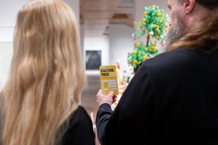 Rovaniemi: Culture Pass to Arktikum, Korundi, and Pilke - Who This Culture Pass Works Best For