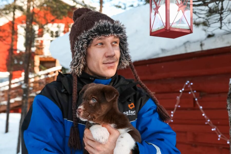 Rovaniemi: Daytime Husky Safari - Key Highlights Worth Prioritizing