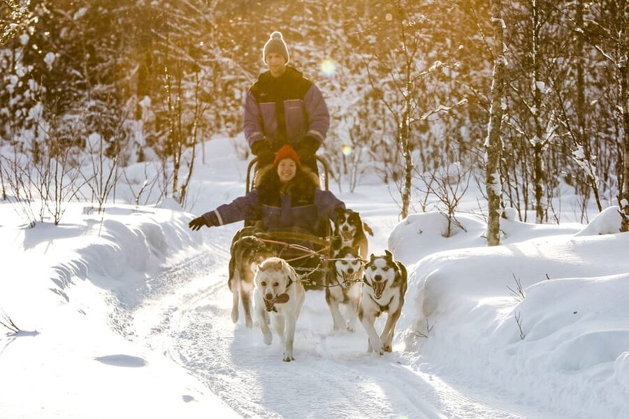 Rovaniemi: Daytime Husky Safari - Why Rovaniemi Daytime Husky Mushing Feels Hands-On