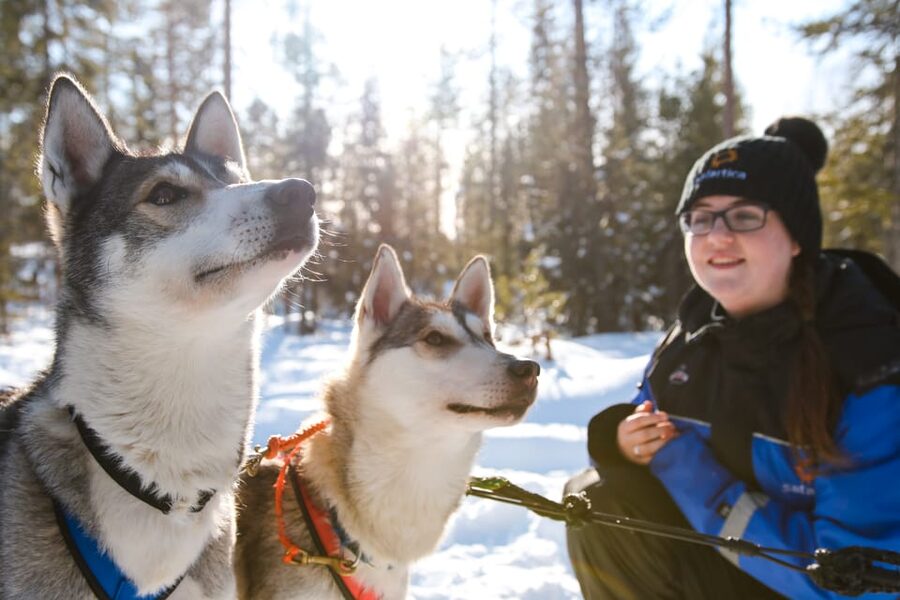 Rovaniemi: Daytime Husky Safari - How Steering Works: The Lesson That Makes the Ride Make Sense