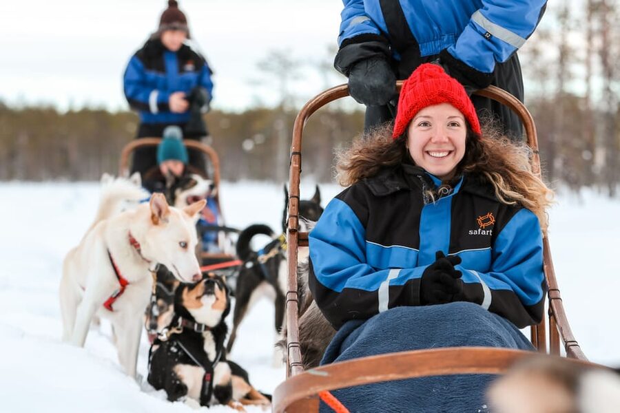 Rovaniemi: Daytime Husky Safari - Value for Money: Is $209 Worth It?
