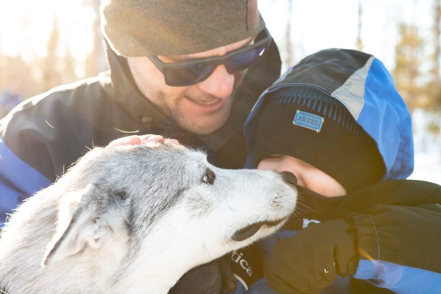 Rovaniemi: Daytime Husky Safari - Timing and Transfers: The Part That Can Trip You Up