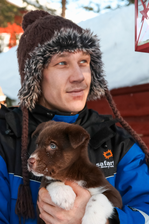Rovaniemi: Daytime Husky Safari - Meeting the Dogs: Kennel Time Before You Ride