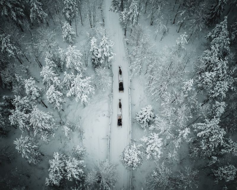 Rovaniemi: Daytime Reindeer Sleigh Ride - From Safartica Office to the Farm: Getting Oriented Fast