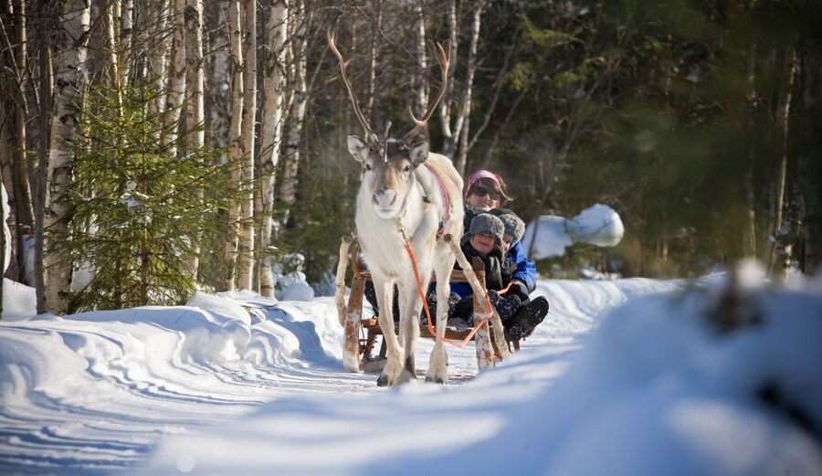 Rovaniemi: Daytime Reindeer Sleigh Ride - Weather, Clothing, and the Blankets Question