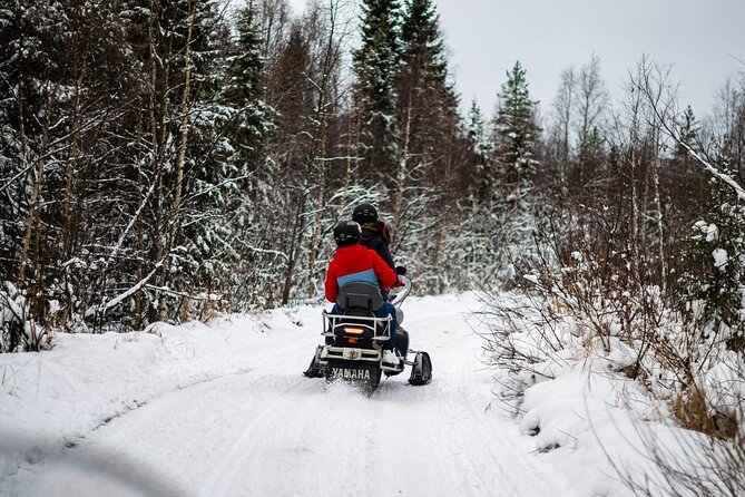 Rovaniemi: Drive New 2025 Snowmobiles on Arctic Safari & BBQ - Key Highlights You’ll Feel Fast