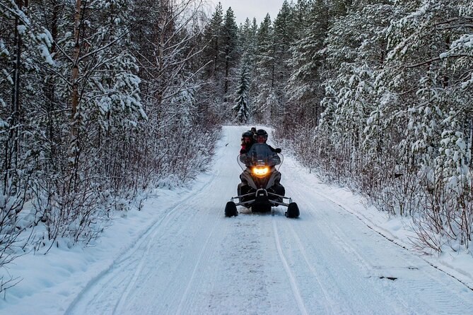 Rovaniemi: Drive New 2025 Snowmobiles on Arctic Safari & BBQ - Starting Out: Where This Arctic Safari Fits Into Your Rovaniemi Day