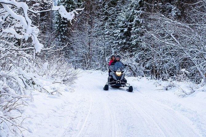 Rovaniemi: Drive New 2025 Snowmobiles on Arctic Safari & BBQ - Group Size, Waiting Time, and Why It Can Feel Bigger Than It Sounds