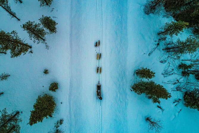 Rovaniemi: Drive Your Own Husky Team (6–10 km) & BBQ - Key things to know before you go