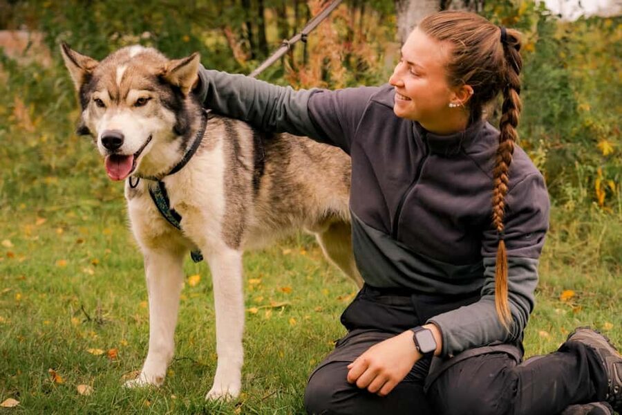 Rovaniemi: Drive Your Own Husky Team (Autumn) & BBQ - Switching Drivers Mid-Route: More Fun for More People