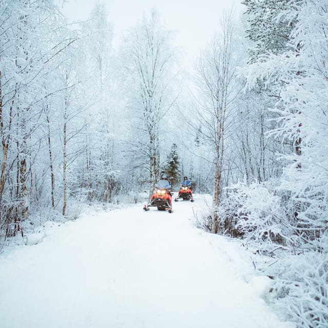 Rovaniemi: Early Winter 2 Hour Snowmobile Safari - Key highlights that matter before you go