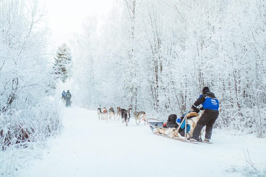 Rovaniemi: Early Winter Husky Sled Ride - The 3 km safari: what you’ll actually experience on the route