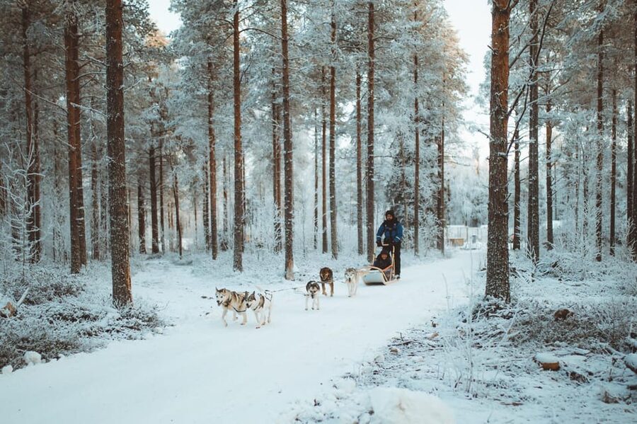 Rovaniemi: Early Winter Husky Sled Ride - Gear, comfort, and cold reality: how to dress for the best time
