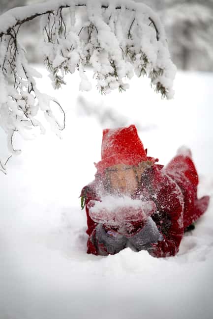 Rovaniemi: Elf Training Center - Price and Value: What $29 Buys You in Rovaniemi