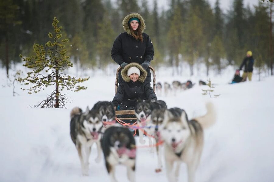 Rovaniemi: Family Friendly Husky Ride and Farm Visit - Should you book it? My practical call