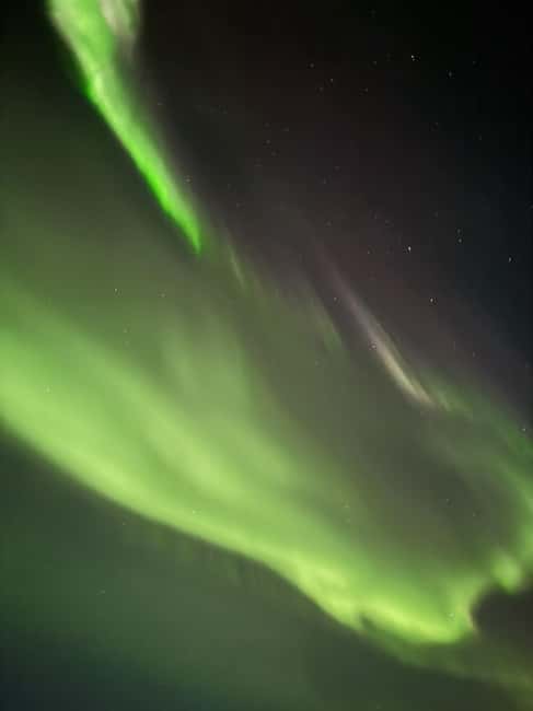 Rovaniemi: Family-Friendly Northern Lights Tour - Aurora Photography Tips: Useful, Not Tech-Heavy