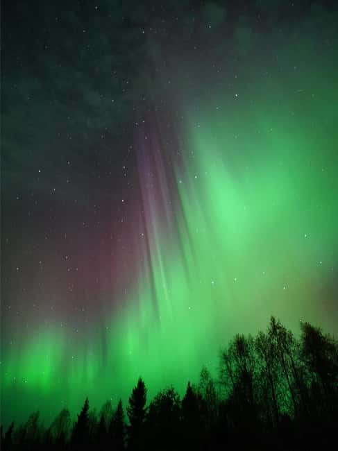 Rovaniemi: Family-Friendly Northern Lights Tour - When the Northern Lights Don’t Show: How This Tour Still Feels Worth It