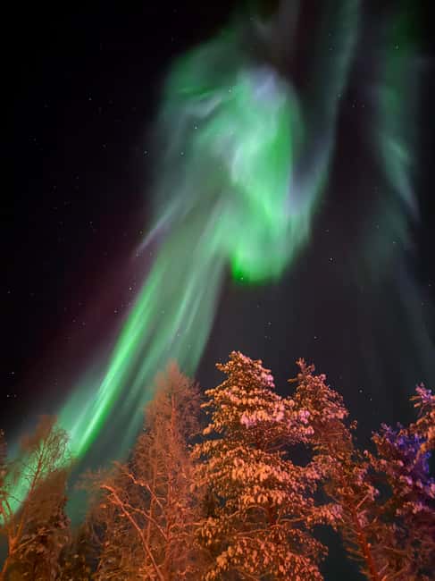 Rovaniemi: Finnish Sauna & Private Jacuzzi - Practical tips that make the experience go smoothly