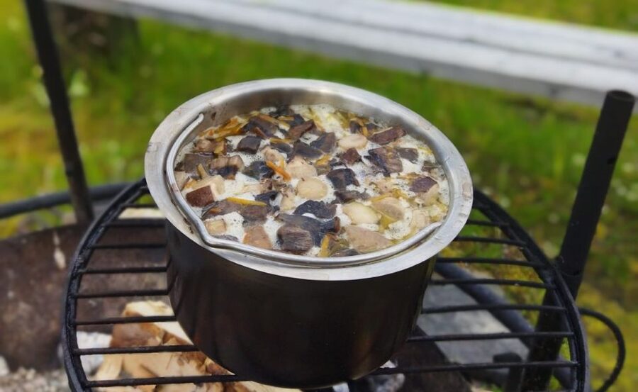 Rovaniemi forest foraging adventure: Pick, Prepare, Savor - Key things to know before you go