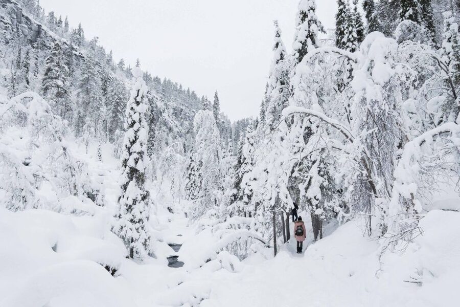 Rovaniemi: Frozen Waterfalls of Korouoma Canyon & Pro Photos - Frozen waterfalls at Korouoma: the kind of winter that surprises you